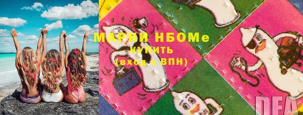 гидра Богданович
