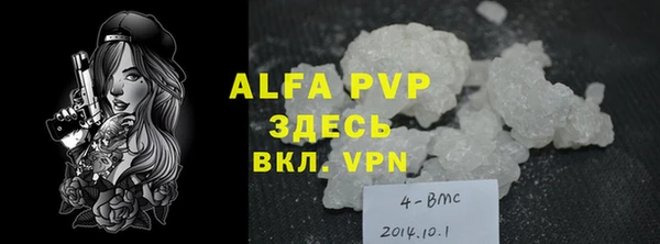 гидра Богданович