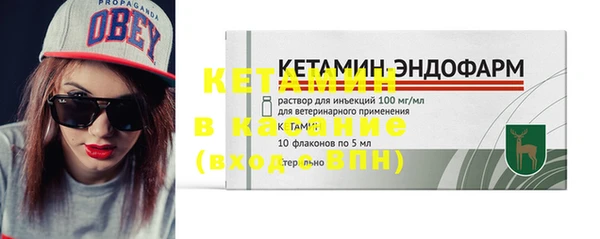гидра Богданович