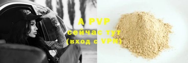 гидра Богданович