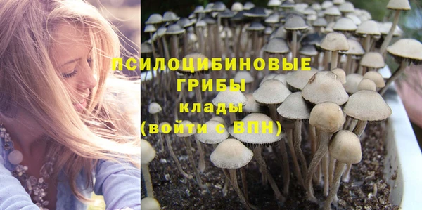 гидра Богданович