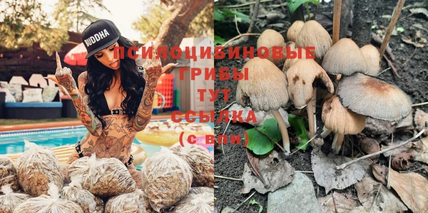 гидра Богданович