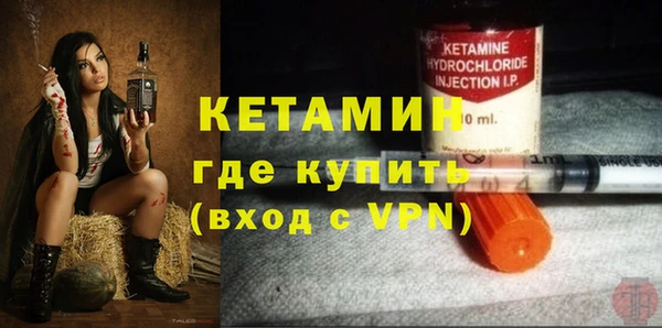 гидра Богданович