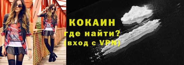 гидра Богданович